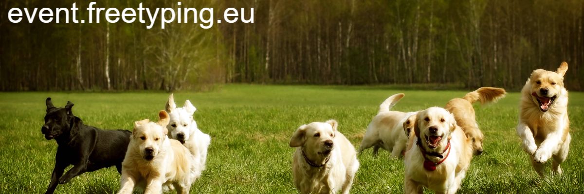 event.freetyping.eu